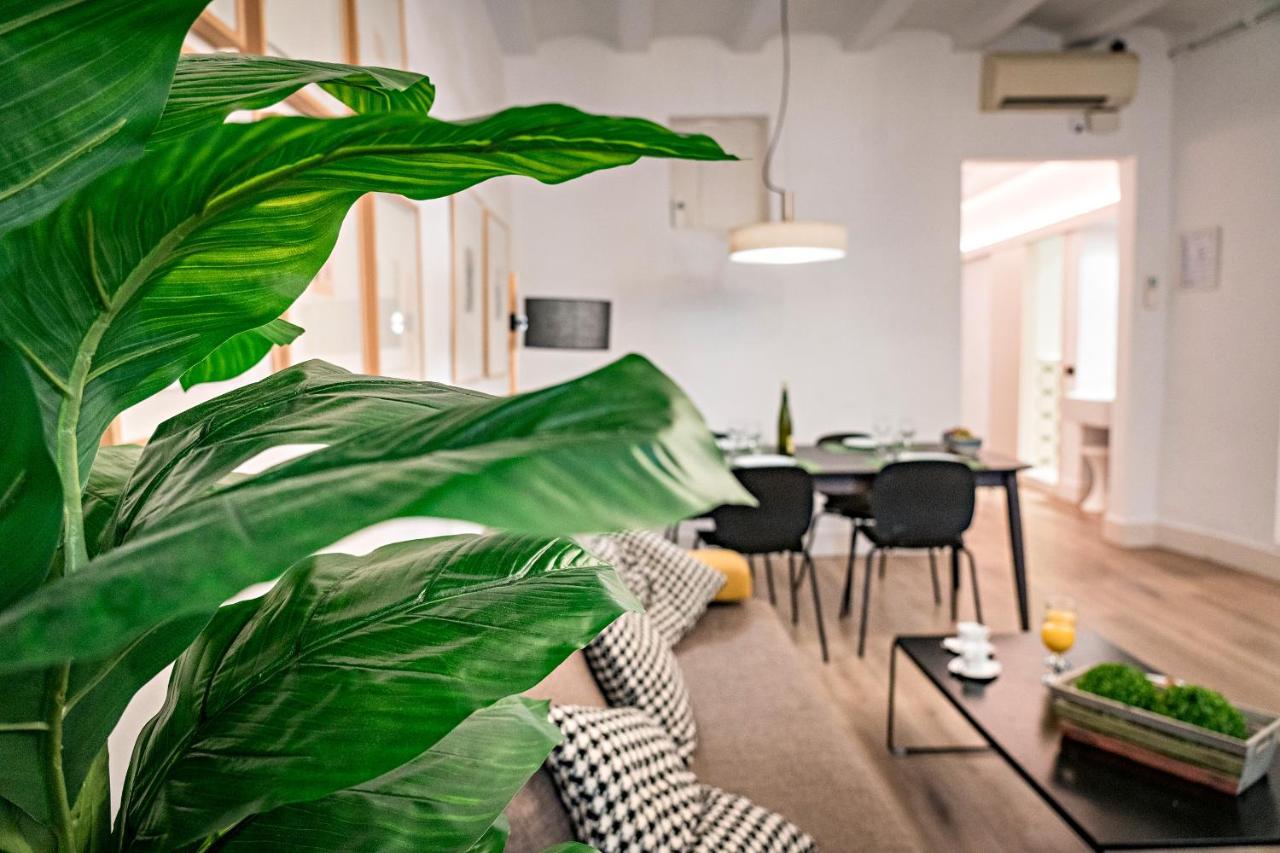 Appartement Habitat Born *